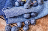 蓝莓功效大揭秘，营养丰富又美味