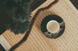少女椿：中国传统茶艺的瑰宝